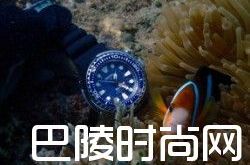 缤纷暑期，SEIKO带你玩出彩！