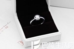 钻石小鸟淘宝店 钻石小鸟天猫店