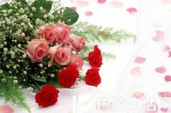 求婚用什么花最合适