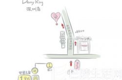 乐维斯实体店地址在哪里?