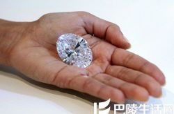 世上最大钻石和最小钻石 两端同样令人着迷