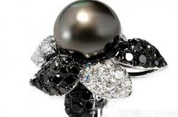 国内最大黑钻重11.86克拉亮相武汉  价值连城引市民围观