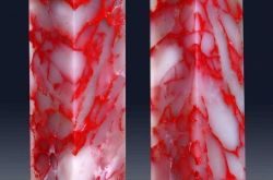 巴林石种类有哪些   巴林石种类图片大全