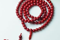 什么是造礁珊瑚 有关于造礁珊瑚的简单介绍