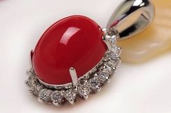 珊瑚质量评价标准 如何评价珊瑚价值