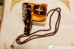 玳瑁是什么颜色      玳瑁什么颜色最好