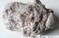 象牙玉原石图片      象牙玉原石价格