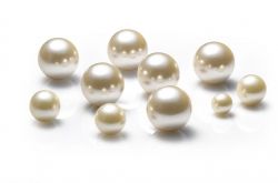 什么是半边珍珠 半边珍珠的简单介绍