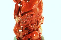 寿山石原石价格 寿山石原石图片 寿山石原石的质量评价