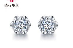钻石小鸟耳环图片  钻石小鸟耳环图片及价格