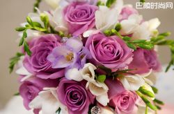 送玫瑰花数量的含义       送玫瑰花颜色的含义