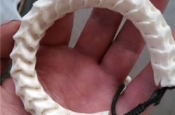 蛇骨手链有什么寓意       佩戴蛇骨手链代表的意义