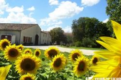 拥抱太阳的中级庄——金庄古堡