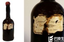 200年前的“拿破仑酒”——大康斯坦提亚拍卖解码