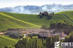 窃贼一夜盗走上千瓶巴罗洛葡萄酒