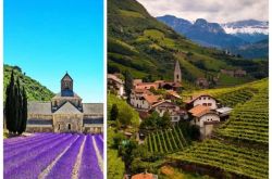 顶级葡萄酒产国中的遗珠