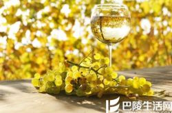 喝腻了长相思和霞多丽？是时候试试这些白葡萄酒了