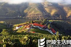 去葡萄牙杜罗河，这6个酒庄绝不能错过！