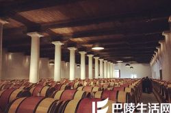 混合橡木桶会成为酿酒界霸主吗？