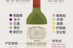 波尔多葡萄酒知多少？