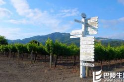 这些新世界的起泡酒，哪个是你的心头好？