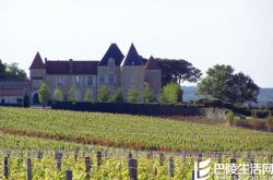 苏玳只产甜酒吗？