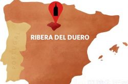 西班牙产区新秀：杜埃罗河岸