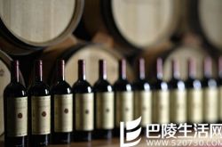 “意大利柏图斯”马赛多推出2013年份酒