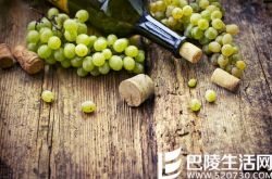 有机葡萄酒是指什么？
