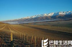 明星产区的成功之路