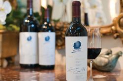 作品一号背后的豪门恩怨