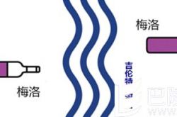 说说波尔多两大葡萄和五大酒庄