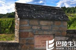 香波-慕西尼之王：武戈伯爵酒庄