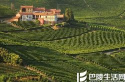 意大利的ABC葡萄酒，你喝过吗？