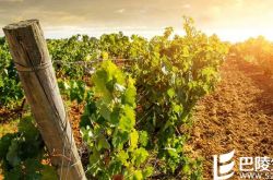 关于弗吉尼亚州你应该知道的5件事儿