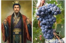 脑洞大开：《三国演义》主要人物与葡萄的配对