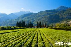 畅游意大利小众产酒区