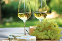 弗德乔：西班牙白葡萄酒界“一姐”