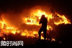 智利大火烧毁百年老藤