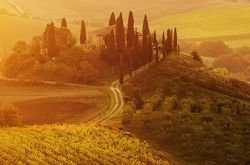 细数那些拥有优质土壤的葡萄酒产区