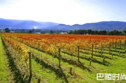 维多利亚州主要产区一览