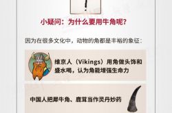 红酒世界连环话：生物动力法究竟是啥？