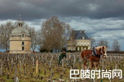 拉图城堡将发布2005年份正牌酒