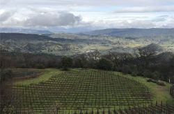 红酒世界拜访美国名庄——馥悦酒庄