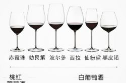 一张图助你选对酒杯