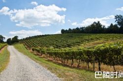盘点美国7大被低估的产区