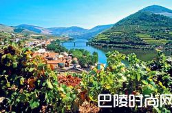 葡萄牙，葡萄酒