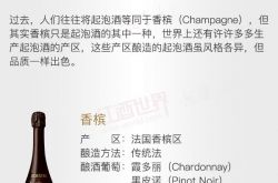 红酒世界连环话：一张图带你了解起泡酒