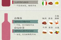 一张图解决你的配餐困惑