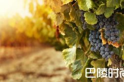 开启酒庄之旅前先准备好七件事！